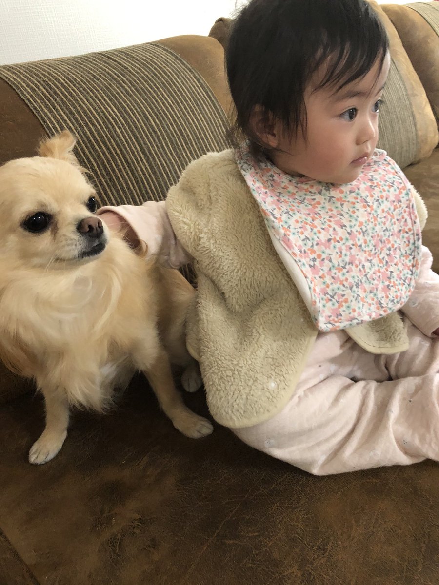 Uzivatel ありまろ Na Twitteru マリと子犬の物語 まぢで信じられへんほど号泣した 犬飼ってから犬の映画絶対泣いてまう これ 地震の映画やから余計に色々考えてもて泣ける 実話に基づくとかなおさらやばい 泣くしかないほんま Uzivatel ありまろ Na Twitteru マリと子犬の物語 まぢで信じられへんほど号泣した 犬飼ってから犬の映画絶対泣いてまう これ 地震の映画やから余計に色々考えてもて泣ける 実話に基づくとかなおさらやばい 泣くしかないほんま
