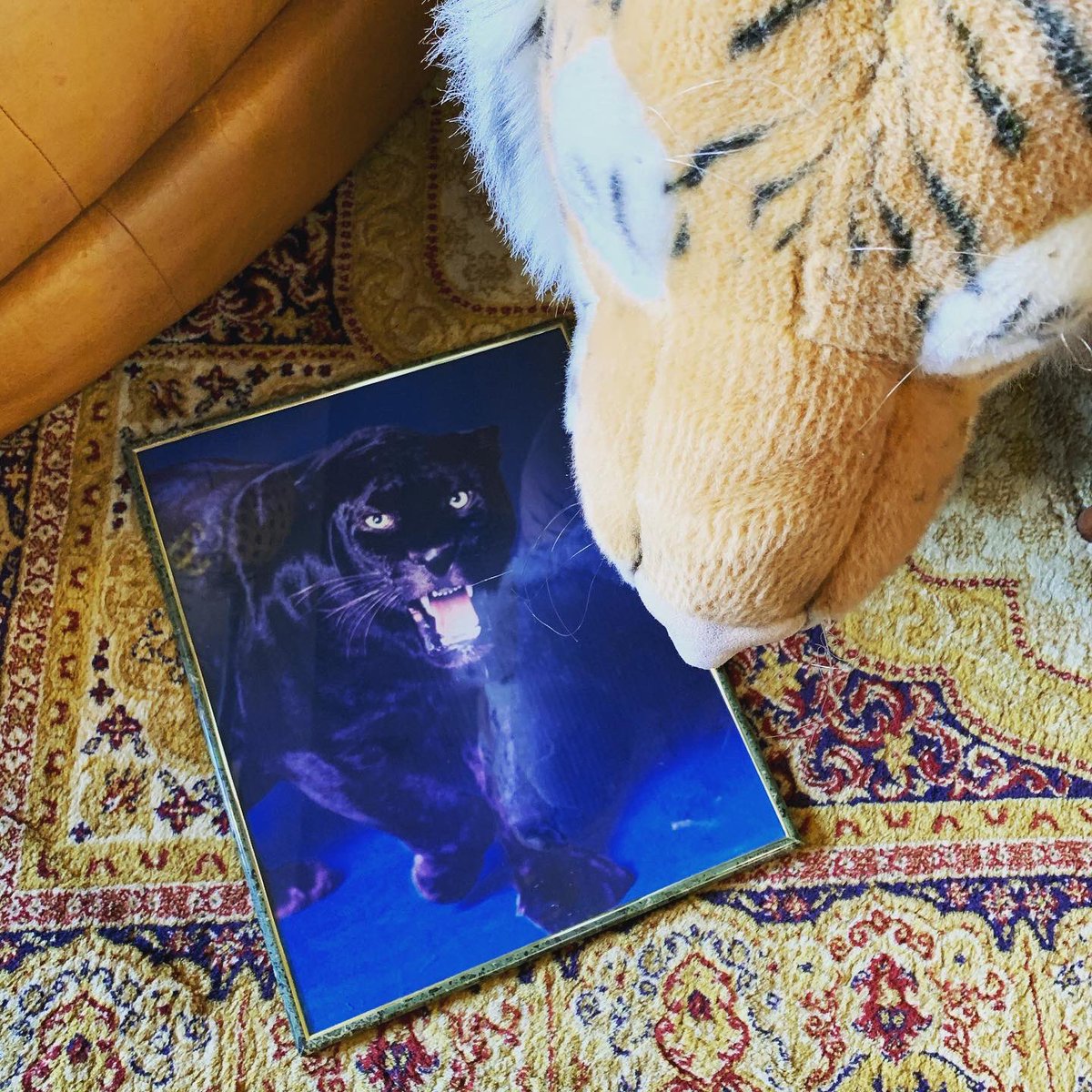 diegoworks's tweet photo. DIEGOには猛獣がよーさんおるんです◉詳細はお気軽にお問い合わせください。通販も承ります。W410×H520 #diegokobe #diego #ディエゴ #diegowarehouse  #兵庫 #神戸 #東灘 #picture #黒豹 https://t.co/47vFVYgrNp