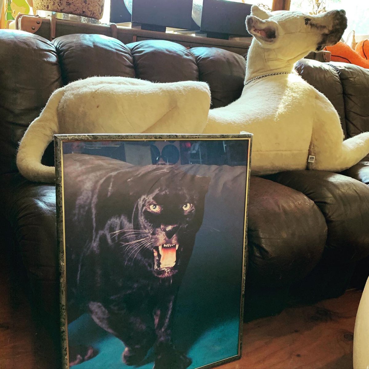 diegoworks's tweet photo. DIEGOには猛獣がよーさんおるんです◉詳細はお気軽にお問い合わせください。通販も承ります。W410×H520 #diegokobe #diego #ディエゴ #diegowarehouse  #兵庫 #神戸 #東灘 #picture #黒豹 https://t.co/47vFVYgrNp
