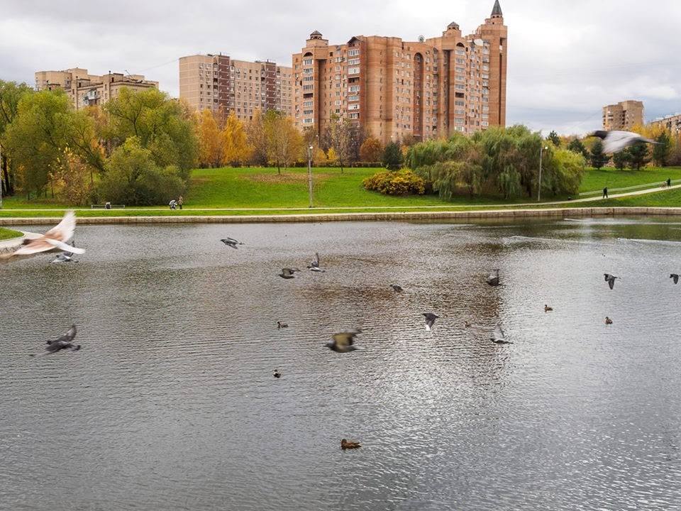Левобережный район москвы