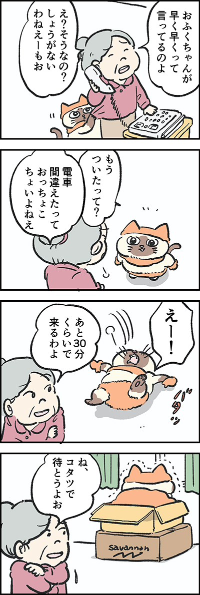 まだかな～?

第49話「待ち遠しい」

『猫のおふくちゃん』の最新話は毎週金曜日に連載中♪
⇒( 

#猫のおふくちゃん 