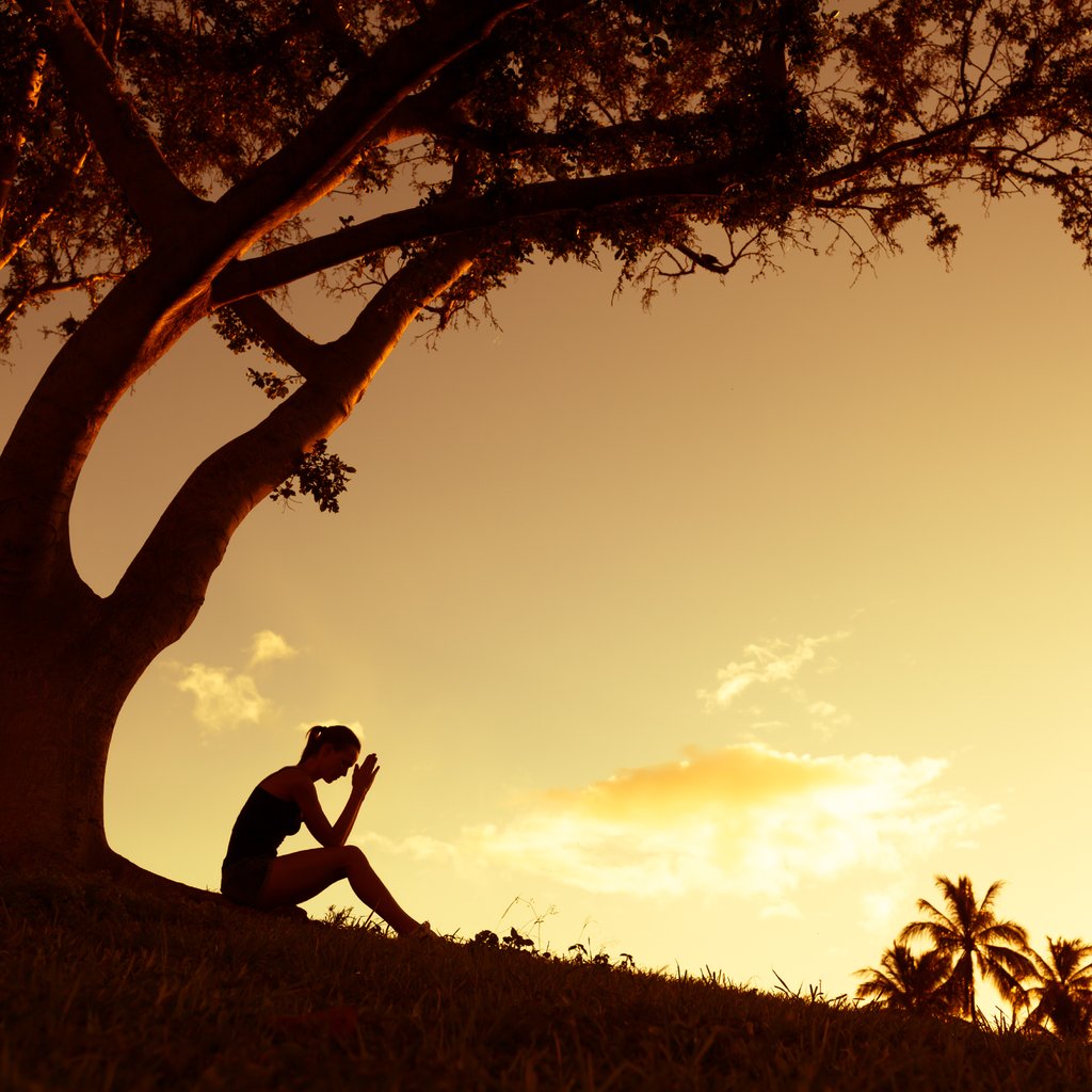 We helpen je graag om tot een goede preventieve aanpak te komen via coaching, consultancy en casemanagement. Bel nu het Arboadviescentrum📞. buff.ly/2HwyXdL #coaching #casemanagement