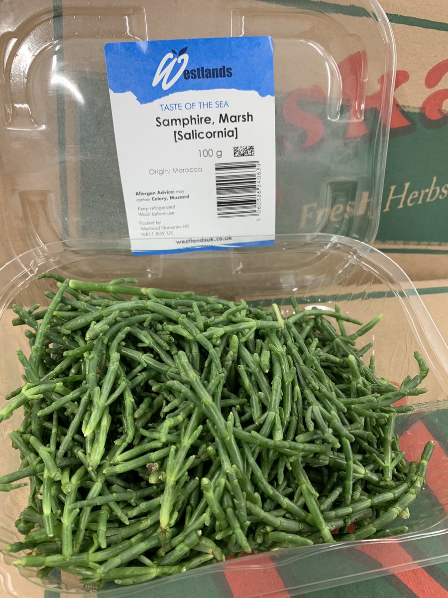 Taste of the sea. Samphire