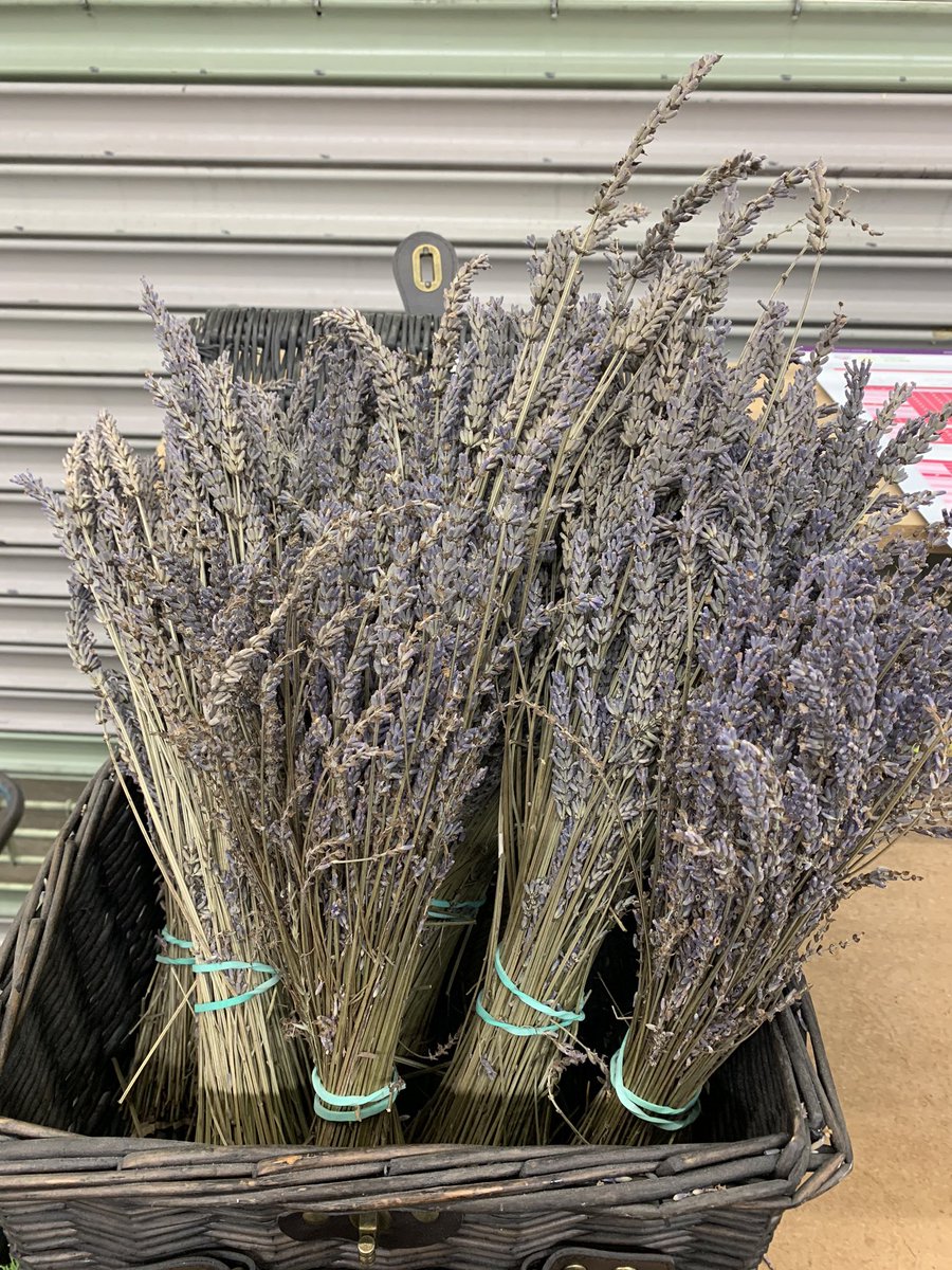 What an aroma. Fresh lavender