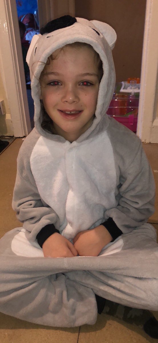 EmmaCol31321626's tweet photo. @HowardJuniorSch all ready for Howard Goes Wild For OZ Leon aa a Koala (4C) Riley as a Kangaroo (5P) Maximus as a tiger (3PE) https://t.co/RGpNSovHKR
