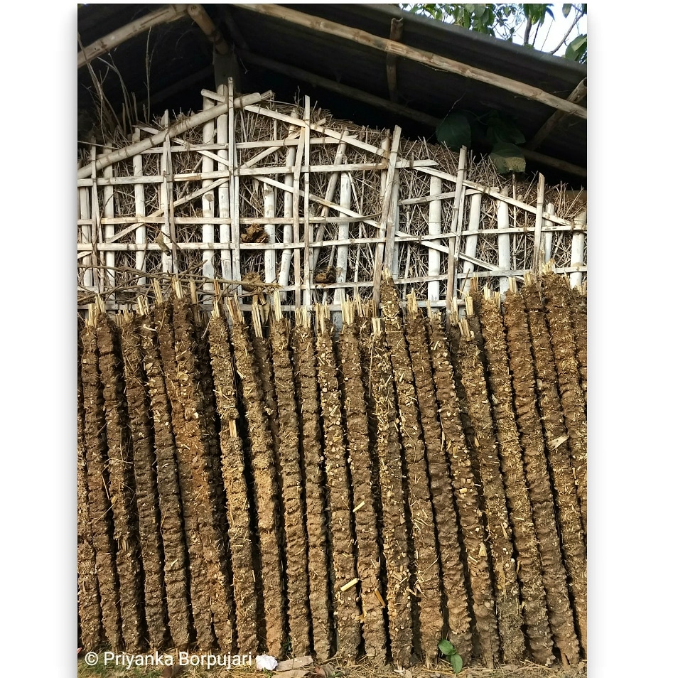 Skewers: on bamboo, of dried dung, to be used as fuel.Maranga, Bihar.Between 2018 & 2019, I walked with journalist  @PaulSalopek on his epic  @outofedenwalk.I was supposed to walk only up to Gwalior.So every km walking eastward thereafter was a prayer in gratitude. #EdenWalk