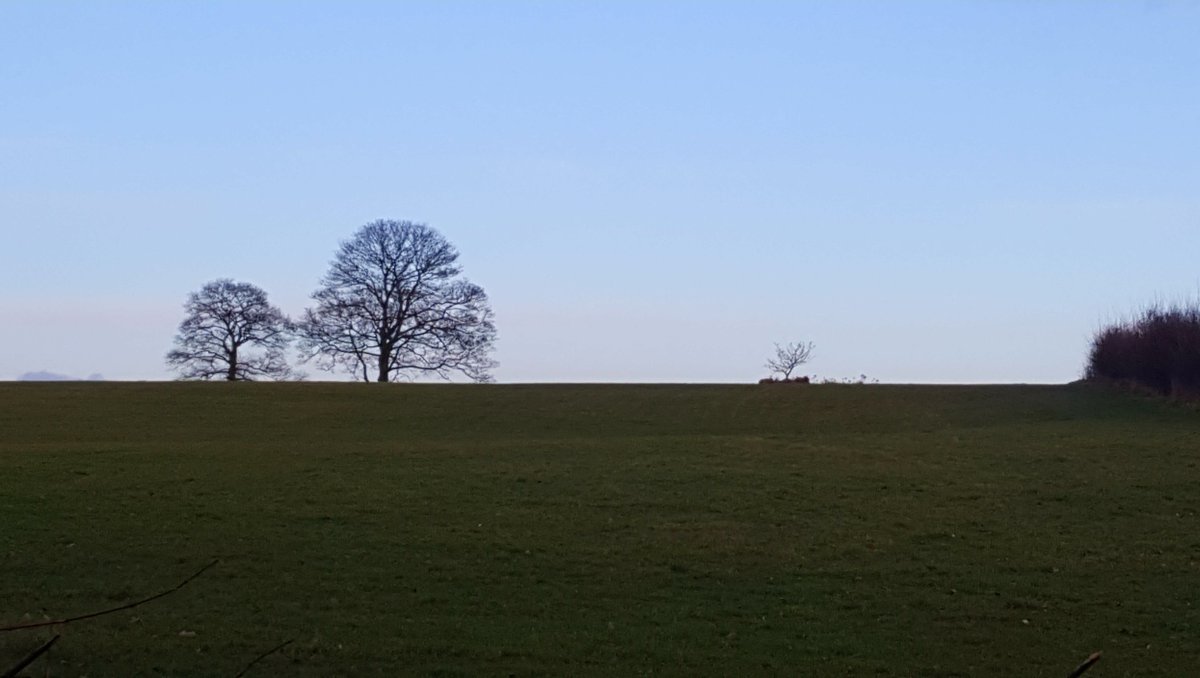 MusingsTa's tweet photo. It's 31st January today, which for us in the UK means we are leaving the EU.  
I took this photo on a cold wintery day. Those trees have been there for years and will remain for years.  When things are changing, we need to find the things that aren't to steady ourselves.

#EU https://t.co/SWvSVXlNNu
