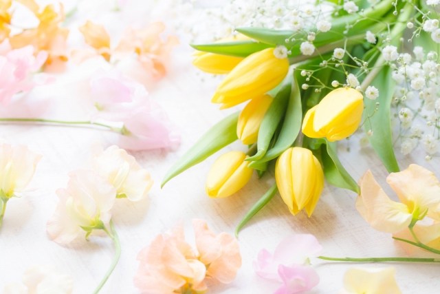 ট ইট র 花キューピット I879 Com 公式 2月の誕生花 春の訪れを感じるチューリップ 今回は2月の誕生花チューリップ の名前の由来や 花言葉 お手入れ方法をご紹介します お誕生日プレゼントに迷ったら 彩り豊かなチューリップで決まり T