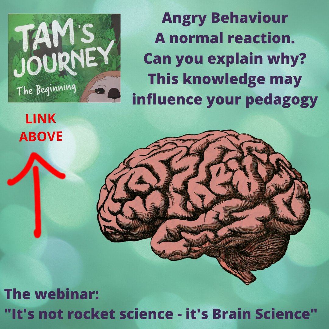 sparkearlyyears's tweet photo. It's not rocket science it's brain science - Help children with FEELINGS to avoid the 'ump' #EYFS #education #EIF #EDTECH #EYE #tamsjourney #mentalhealthawareness https://t.co/iHXffc0rYV https://t.co/q1EdCKQSum