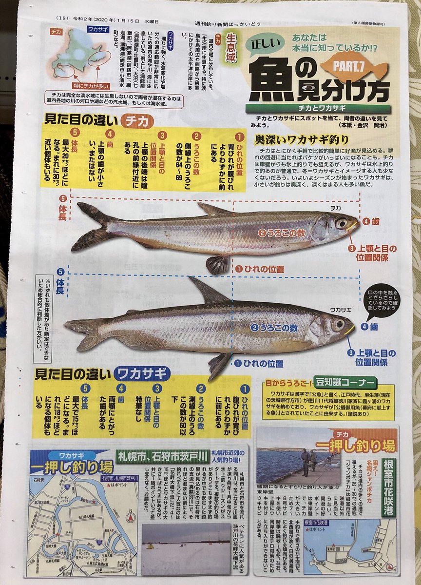 ウエダ釣具店 稚内 Myboo そうそう Twitter