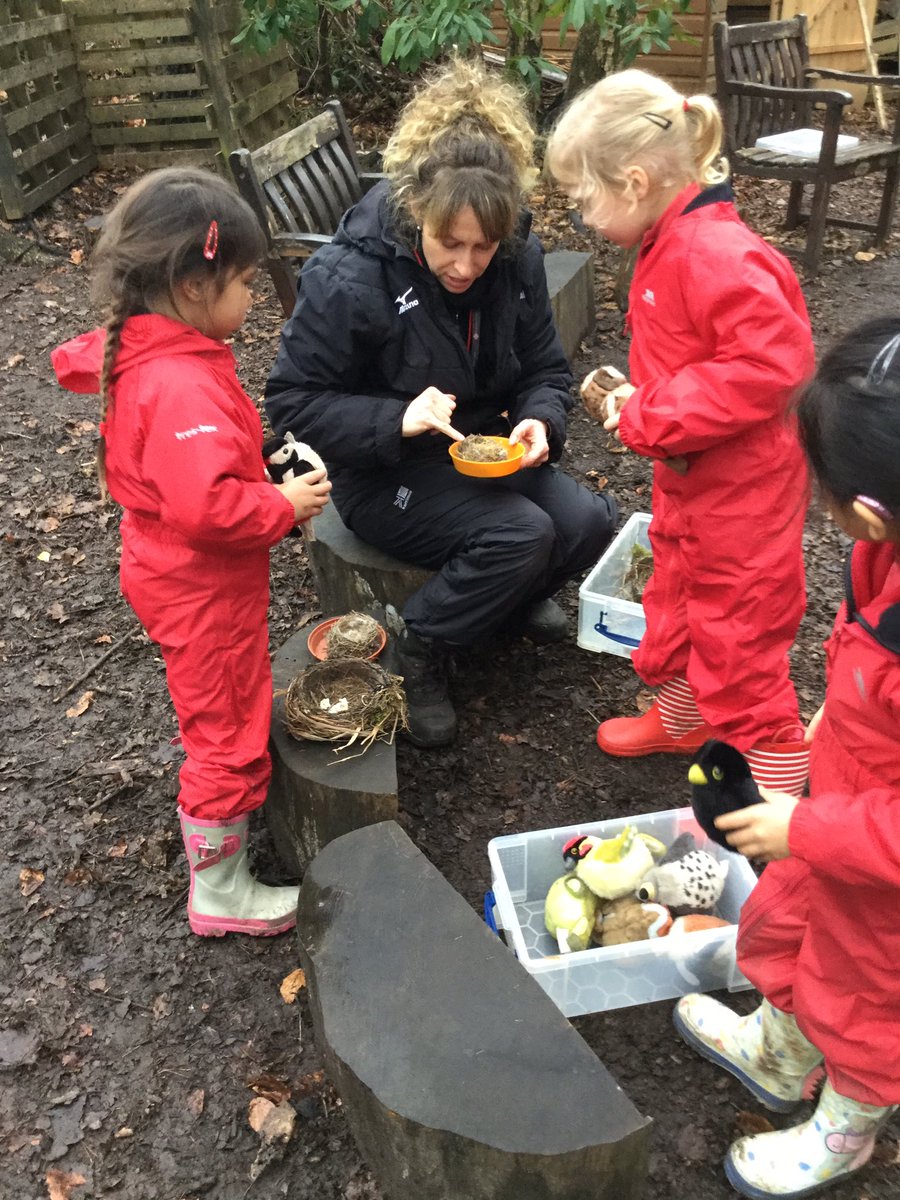 Library_BGS's tweet photo. Reception have been looking at different birds and nests this week. We discussed the different materials the birds have used to build their nests and how they have constructed them.#BGS_reception #BGS_forestschool #BGS_independence https://t.co/Yj75XoiWBr