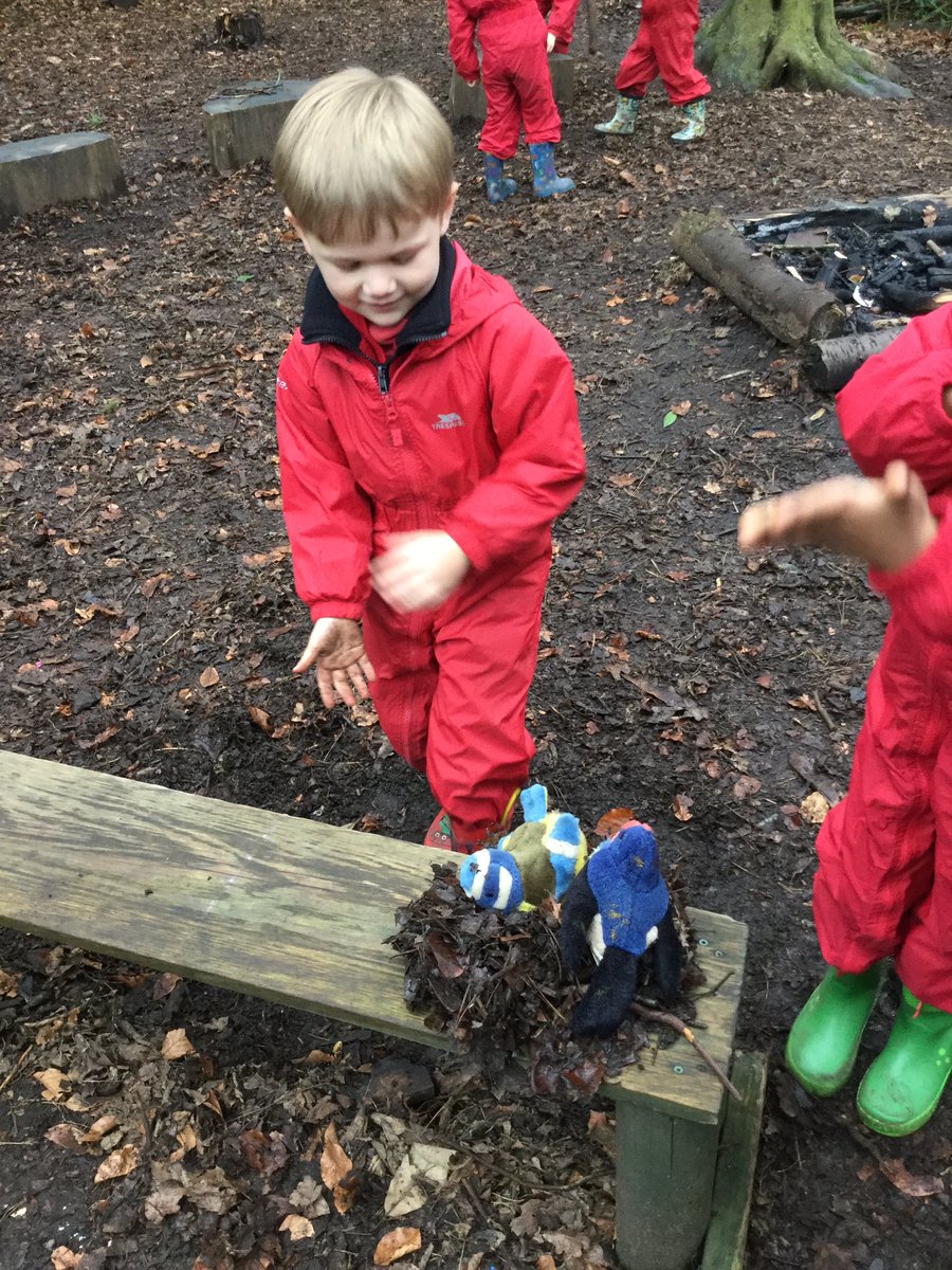 Library_BGS's tweet photo. Reception have been looking at different birds and nests this week. We discussed the different materials the birds have used to build their nests and how they have constructed them.#BGS_reception #BGS_forestschool #BGS_independence https://t.co/Yj75XoiWBr
