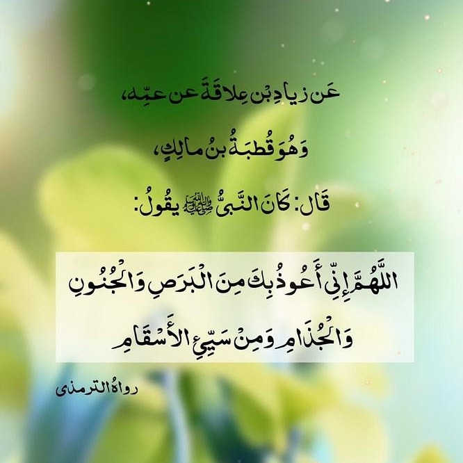 msz2221's tweet photo. @MISHALALSAUD19 https://t.co/U9ubRbdsXY
