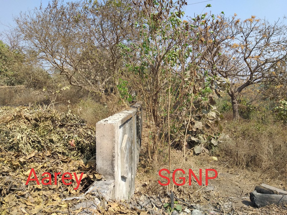 zoru75's tweet photo. Who are these frauds who said that Aarey &amp; SGNP are not contiguous?

Can anyone spot any difference? 🤔 https://t.co/hO8T5sHeum