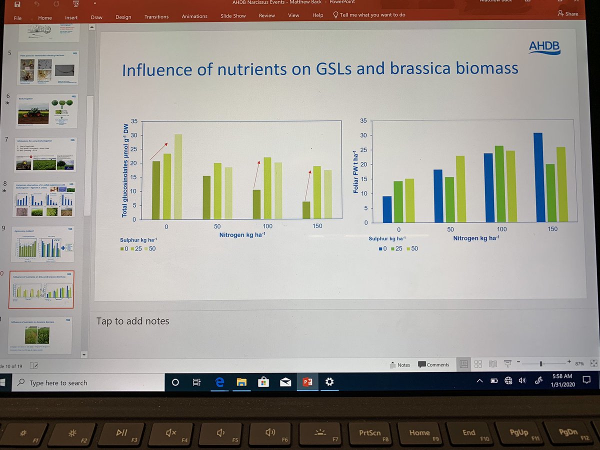 Matthew Back 🇺🇦 (@drmattback) on Twitter photo Sharing our knowledge on biofumigation at the <a href="/AHDB_Potatoes/">AHDB Potatoes</a> Welsh Potata Day and the <a href="/AHDB_Hort/">AHDB Horticulture</a> Narcissus Event in Lincolnshire <a href="/HarperAdamsUni/">Harper Adams University</a> @Potatoes_West <a href="/NasamuMusa/">Nasamu Musa</a> Sharing our knowledge on biofumigation at the <a href="/AHDB_Potatoes/">AHDB Potatoes</a> Welsh Potata Day and the <a href="/AHDB_Hort/">AHDB Horticulture</a> Narcissus Event in Lincolnshire <a href="/HarperAdamsUni/">Harper Adams University</a> @Potatoes_West <a href="/NasamuMusa/">Nasamu Musa</a>