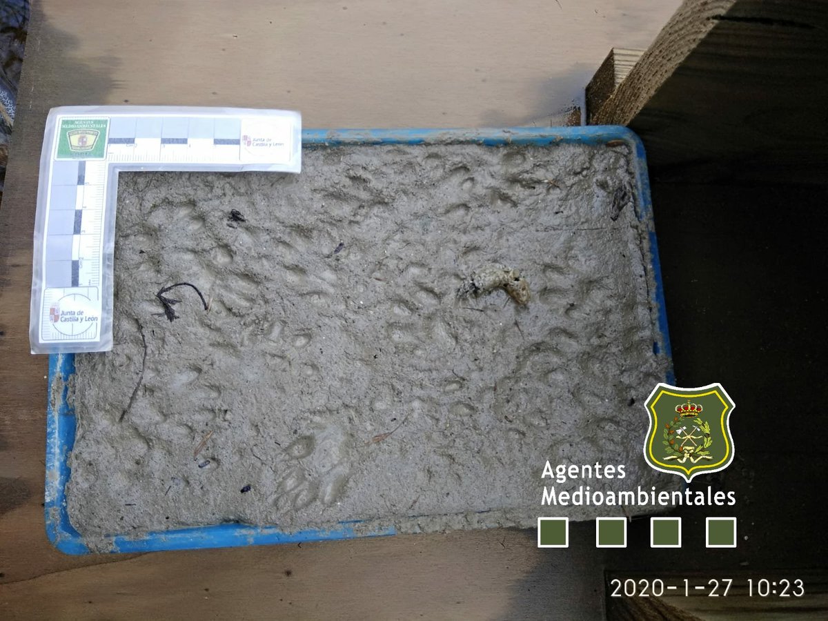 Plataforma de registro de huellas