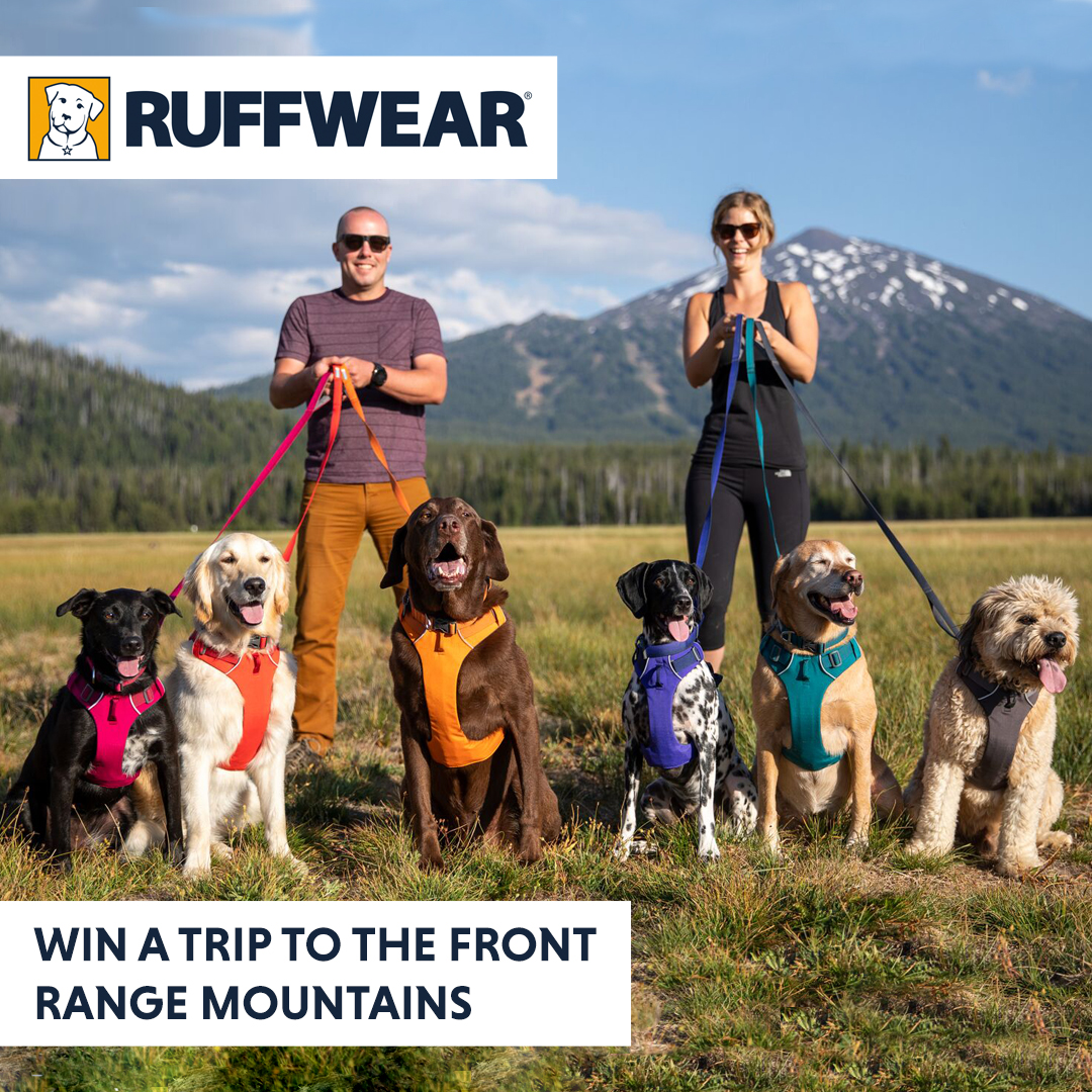snowpaw_store's tweet photo. π WIN a trip of a lifetime π
Find out more here:https://t.co/N8GxT72hCl
T&Cβs apply.
#FrontRangeAdventure #RuffwearEurope #GreatCompanions
#frontrange #tripofalifetime #GoFurther #adventureawaits
#neverstopexploring #getoutthere https://t.co/9sHP03Zvs6