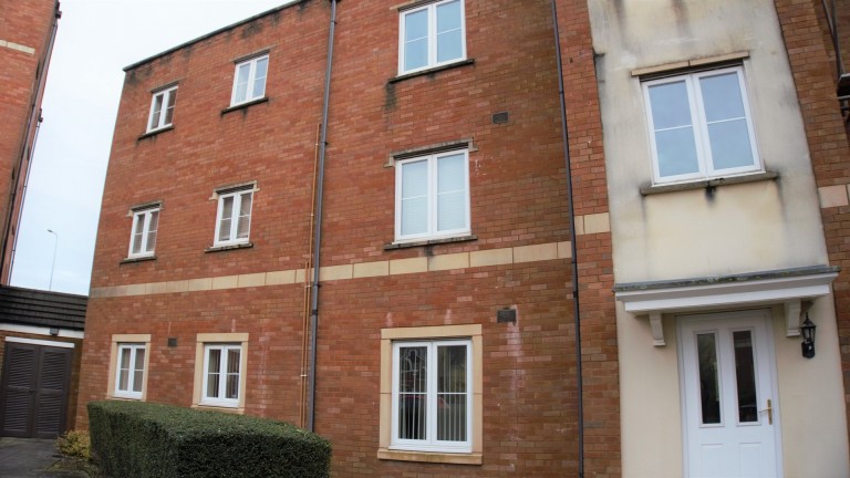 Chambers tweet media