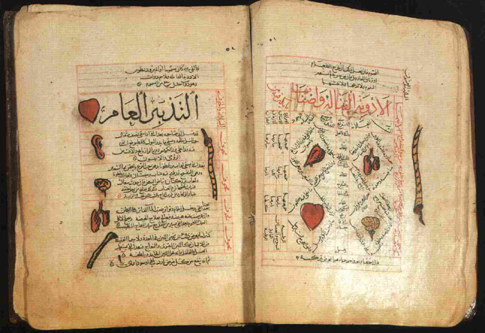 Folios from Ibn Sina’s celebrated work "AI-Qanun fit-tibb", known as "The Canon of Medicine" in Europe. It was translated into Latin in the 13th century and served as the Principal textbook for medical students at several European universities until the 18th century.
