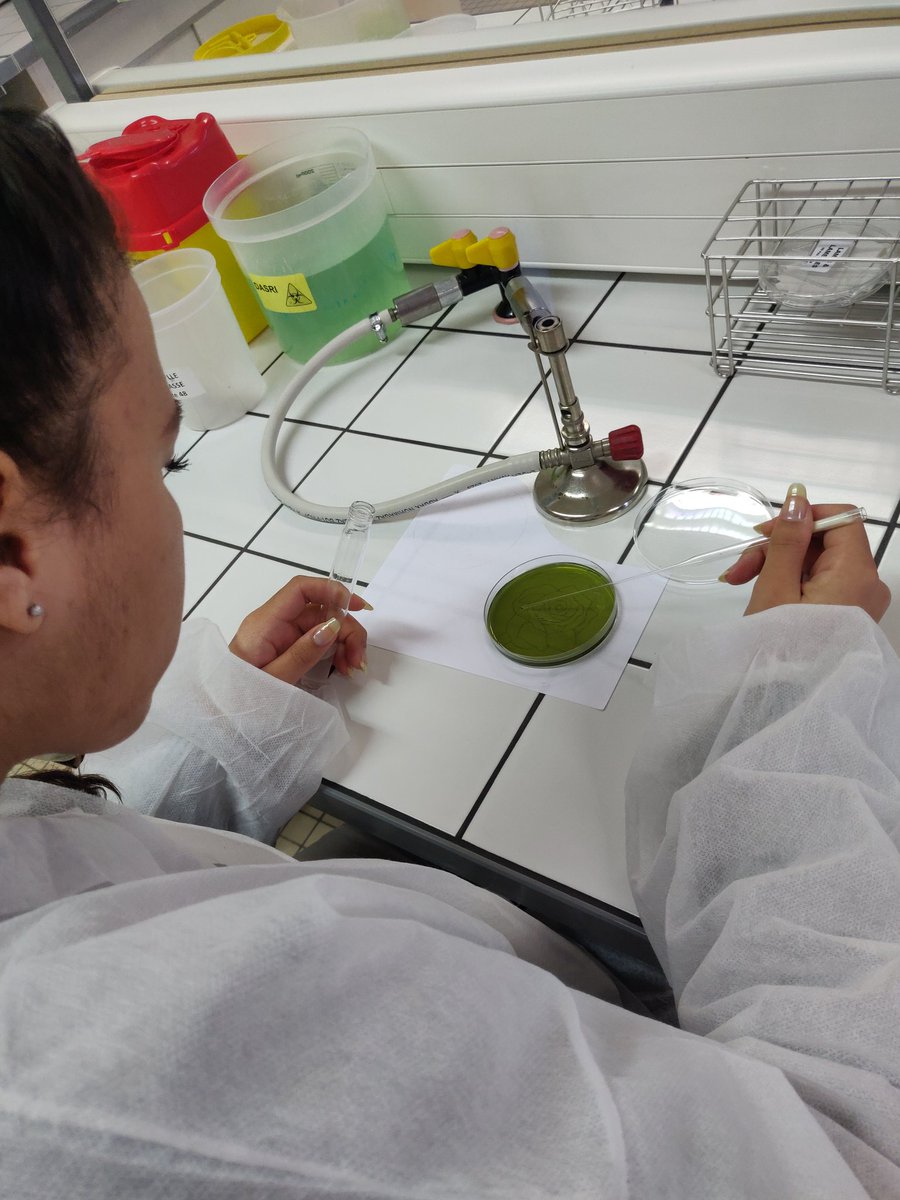 StephaneBaton's tweet photo. Du Bio-Art 🎨🧫 en #seconde #biotechnologies : concours #AgarArt au #LyceeJeanMonnet #Franconville thème libre 🤗🦠🧪 https://t.co/V5oPMlwfYP