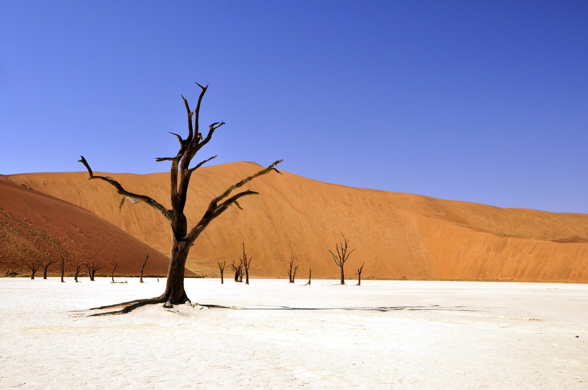 viaggilevi's tweet photo. https://t.co/Sk8QvOoiW7 parla della nostra NAMIBIA!
https://t.co/mAXJxNbWYQ
#IVdML #viaggilevi #press https://t.co/weHo7OYsJX
