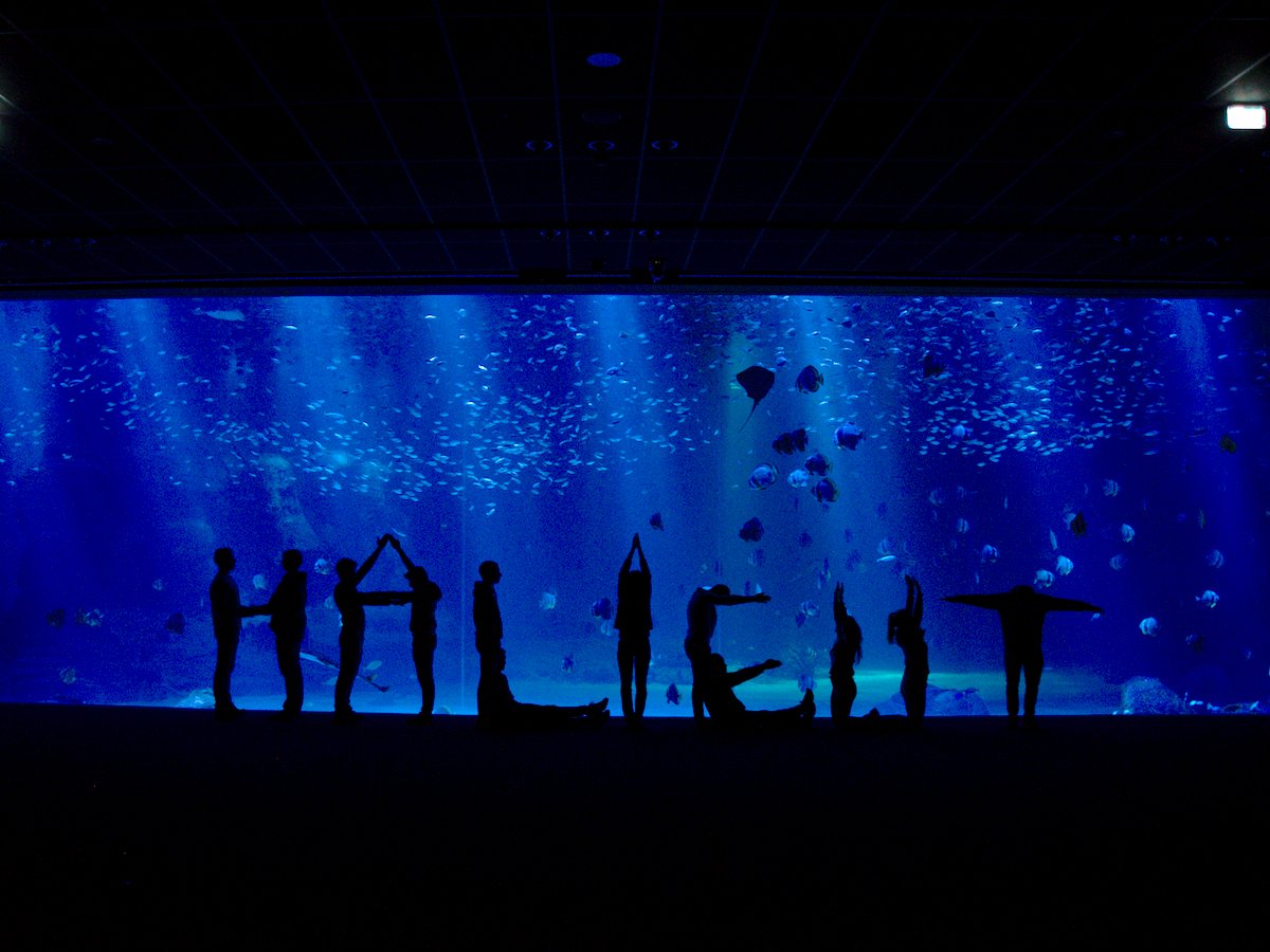 Pôle halieutique mer et littoral tweet media