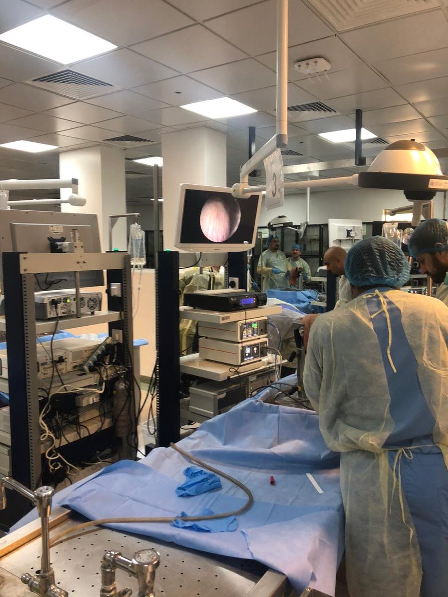 مركز الجراحة التجريبية وحيوانات التجارب كلية الطب tweet media