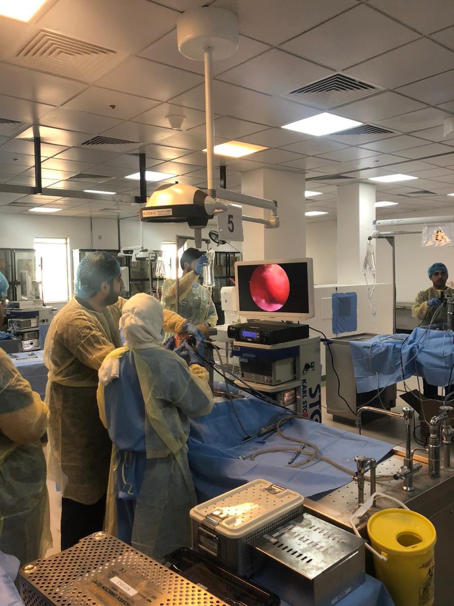 مركز الجراحة التجريبية وحيوانات التجارب كلية الطب tweet media