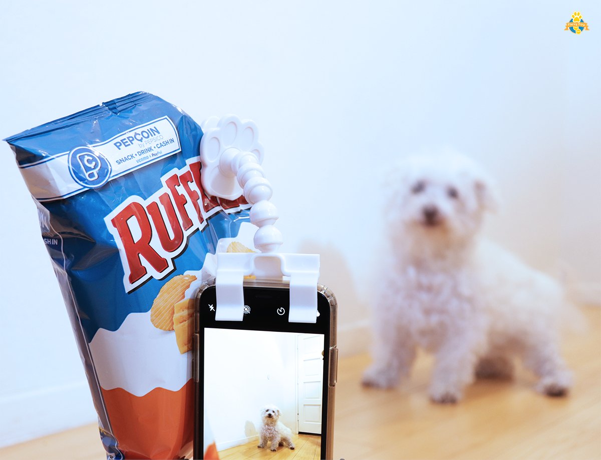 PawChamps's tweet photo. Not sure who I'm going to root for this weekend, but I'm here for the chips and dip!

#FLEXYPAW #dogs #dogstagram #dogsofinsta #dogsofinsta #petsofinsta #petsofinstagram #petsofinstagram #poochselfie #dog #puppies #phodographer #foodie #doggo #superbowl #chips https://t.co/lkkOU7sPs2
