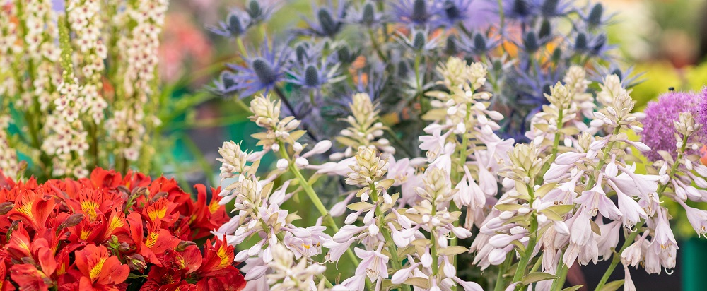 Are you a budding garden designer? 🌱Or a growing landscape gardener?🌻 Want to branch out to new markets while showcasing your skills? 🌳 
The Royal Norfolk Show 2020 needs you - message us to find out more about Show and School Gardens in our exciting Home and Garden area