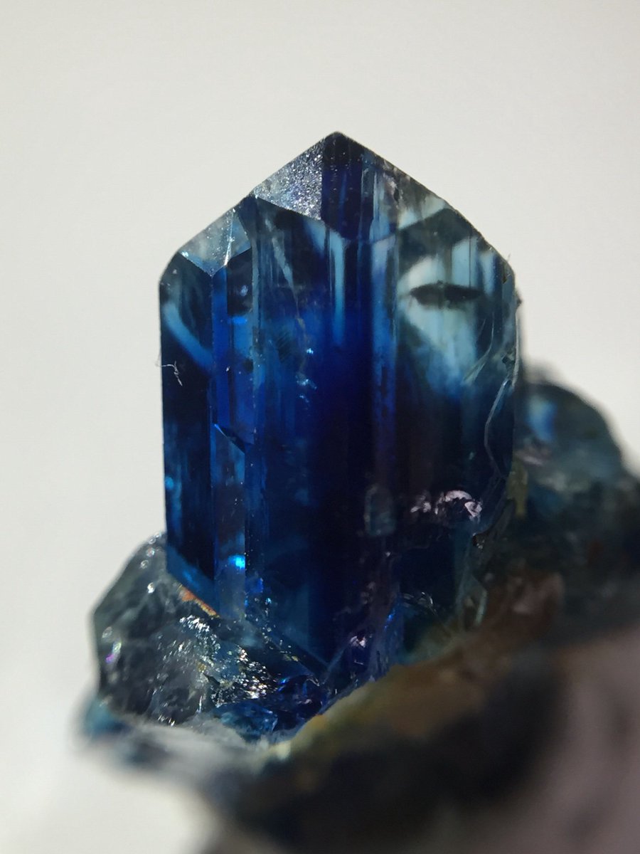 青階調(あおグラ) tweet media