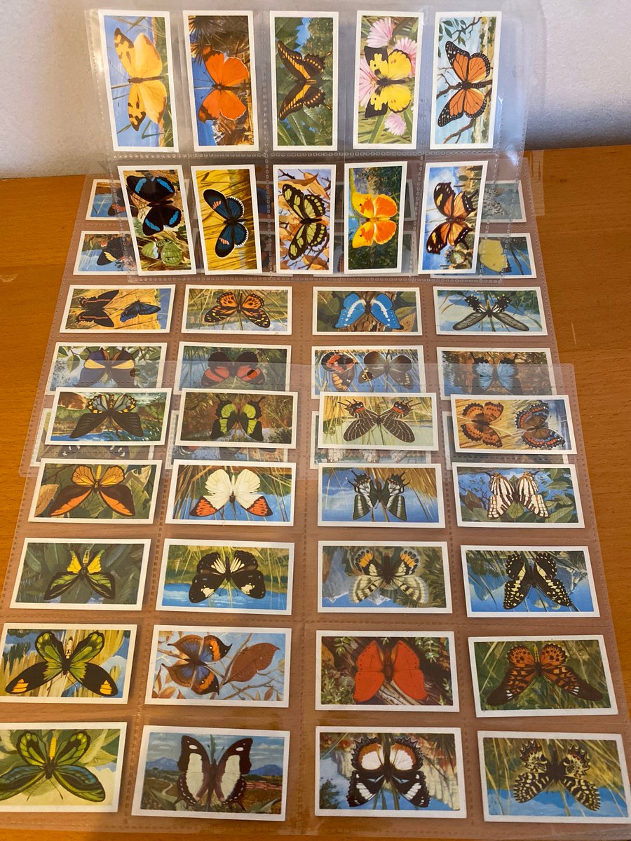 loveretrocrafts's tweet photo. Excited to share the latest addition to my #etsy shop: Butterflies of the world tea card // Freshwater Fish tea card // Features of the world tea card // Brooke Bond Picture Cards https://t.co/joLhJKi4hp #art #tradingcards #collectiblecards #teacard #loveretrocrafts https://t.co/wxaeJtptyl