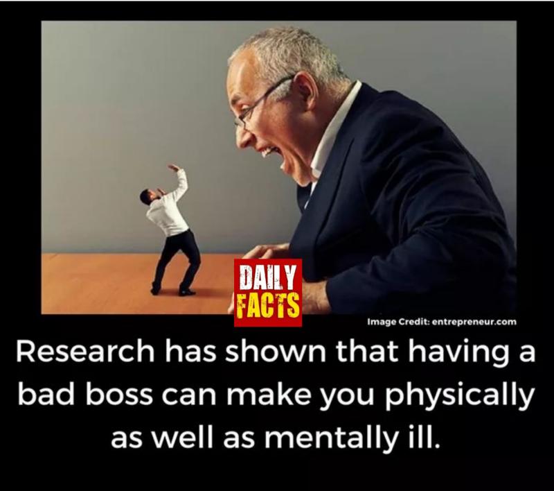 burntbridgeuk's tweet photo. #Whistleblower #ToxicWorkplace #Bully #Burnout #Harassment #EndWorkplaceAbuse #HorribleBosses #WorkplaceCulture #MentalHealth #WorkPlaceConflict #WorkplaceBullying #mentalhealth https://t.co/ZP7IrGpq6Y