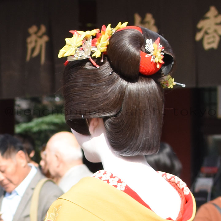 ハルカ 根休め中 浅草の半玉 雛妓 さんの 桃割れ 唐人髷 簪と揃いの髷飾りがとても華やか ハルカ 根休め中 浅草の半玉 雛妓 さんの 桃割れ 唐人髷 簪と揃いの髷飾りがとても華やか