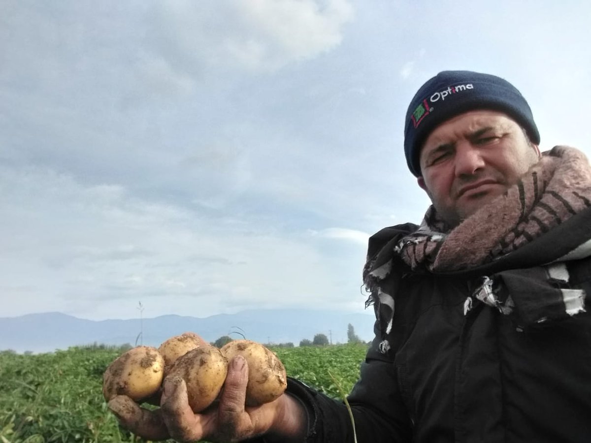 izmirtarim's tweet photo. #Ödemiş ten tadına doyulmaz #organik sarı patatesler :) #istanbul #organikpazar larında ve #bostanlıorganikpazar da 🥔🥔🥔 https://t.co/YC520CoQed