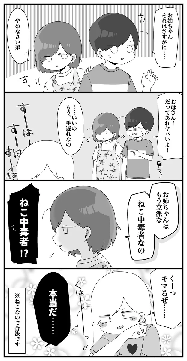 姉が中毒者に！？母親も諦めてしまうくらいネコ中毒にwww