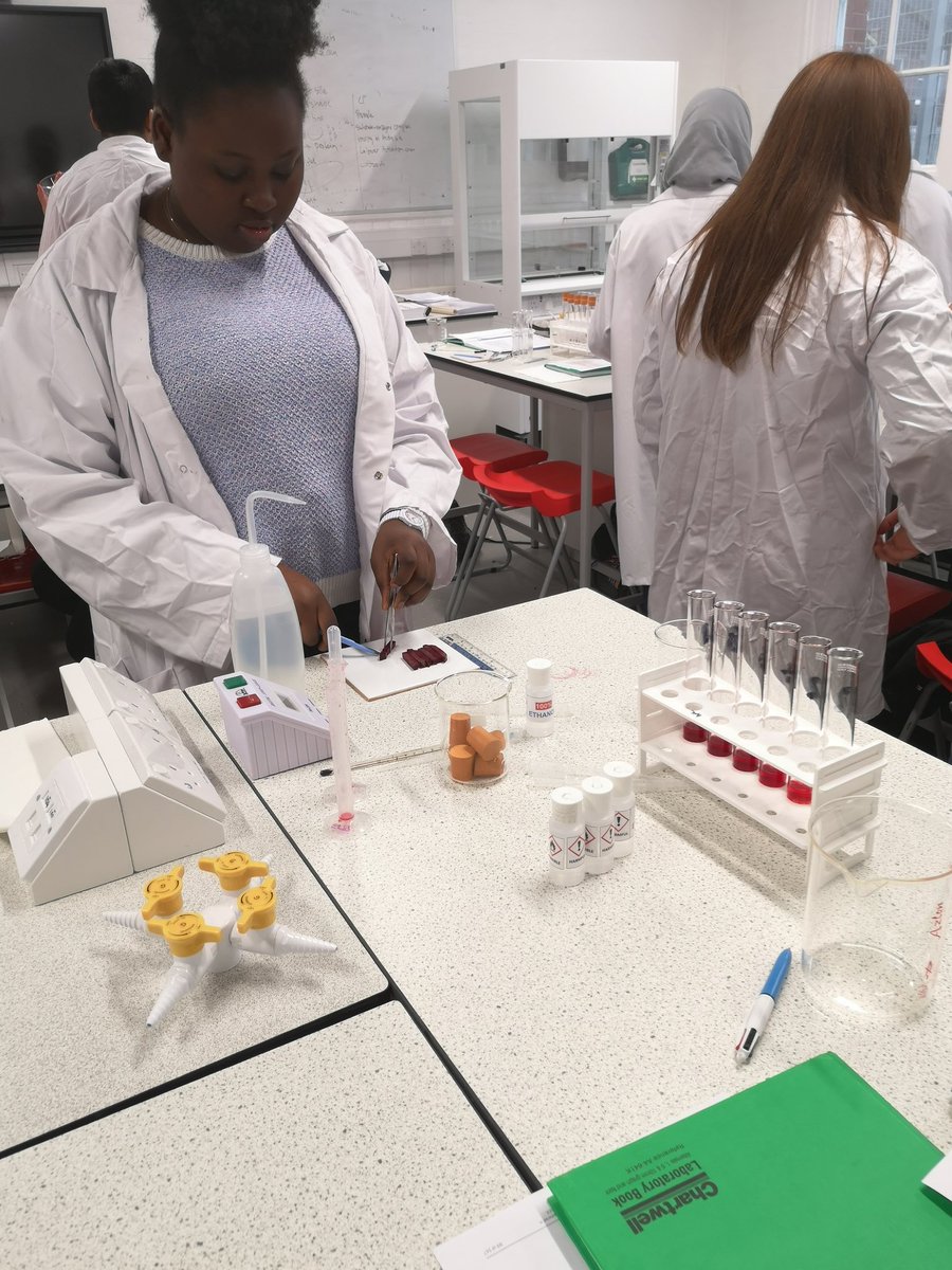 DrBio4's tweet photo. Making dilution series of beet root extracts. Very colourful!
@ELSS_sixthform @elss_freeschool https://t.co/HqriamWZ5Y