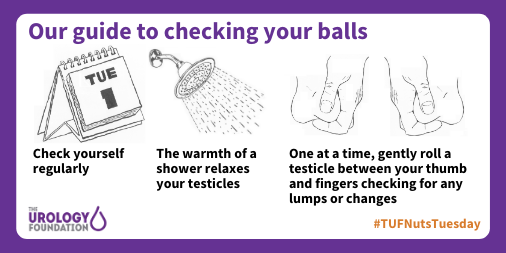 TUF_tweets's tweet photo. Lads! It's the 1st Tuesday of February. Here is our quick guide on how to check your testicles for signs of cancer this #TUFNutsTuesday

#testicularcancer #checkyourtackle https://t.co/WKm5h7IzIW