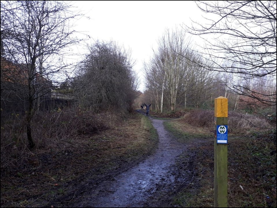 The team have been clearing back from Station Road, Pelsall towards Ryders Hayes Lane