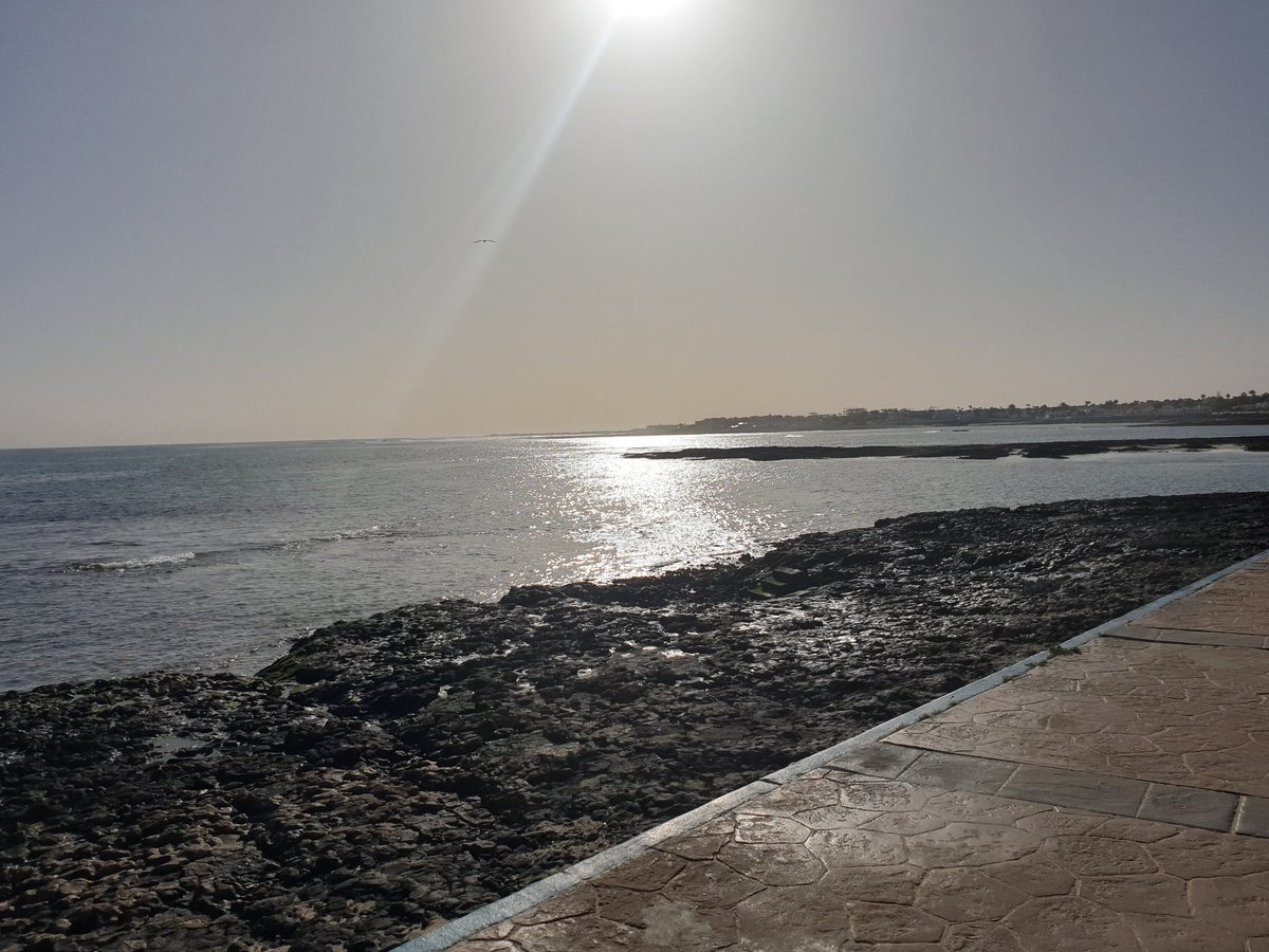 youngy2mark's tweet photo. Corralejo 31/01 #Jet2Views @jet2tweets https://t.co/ZCiGyuJZ7d