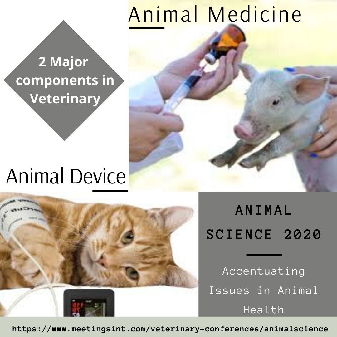 MeetingsInt's tweet photo. The major components of #Veterinary_science are #veterinary_medicine and an #veterinary_device. Present your research on #Animal_medicine and #Animal_device at #Animal_science_conference
#Veterinary
Visit: https://t.co/DRCqU3BjDz
Contact: animalscience@insightsummits.com https://t.co/EHihbm22PM