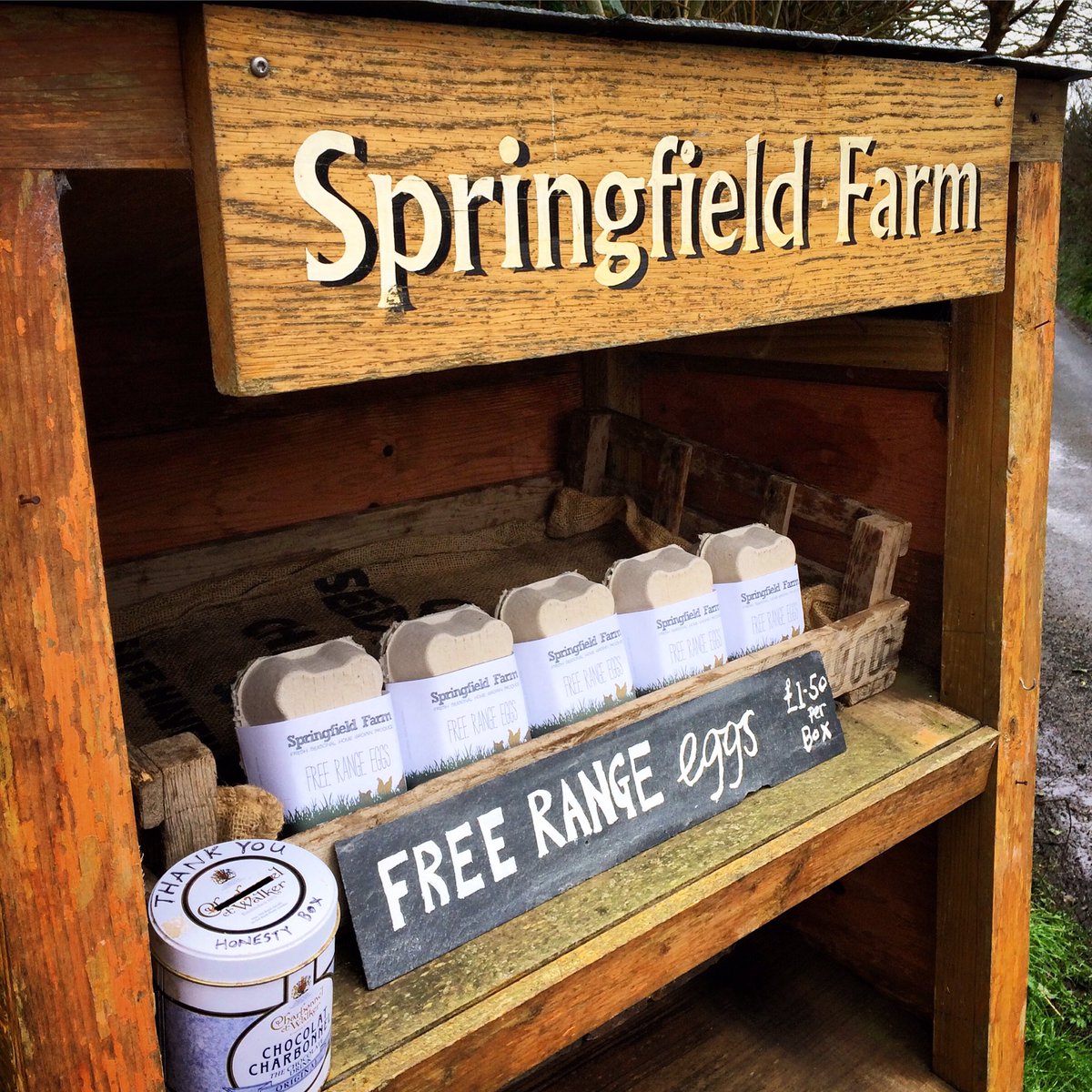 Springfield Farm tweet media