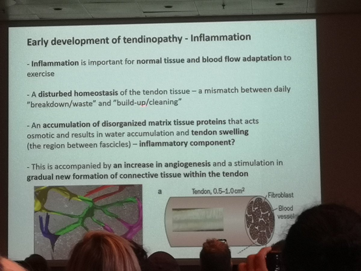 Henrik Riel tweet media
