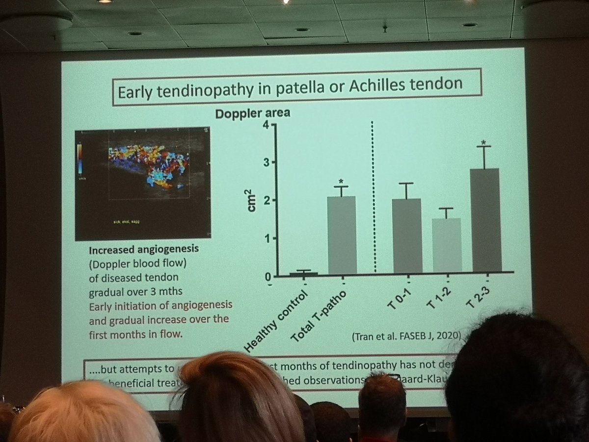 Michael Kjær on inflammation and the early stages of tendinopathies. There's evidence of inflammation, yet, NSAIDs have no effect. #sportskongres