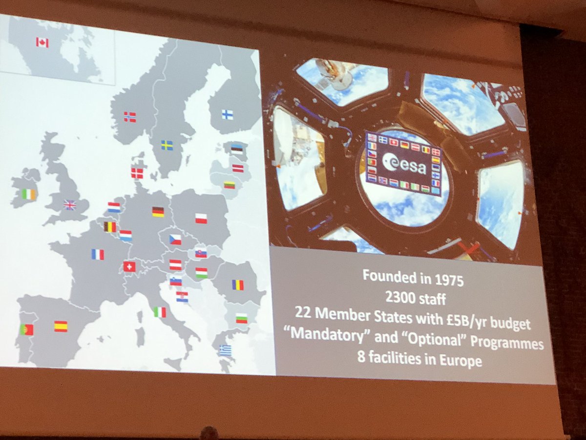 Maggie Wilson tweet media