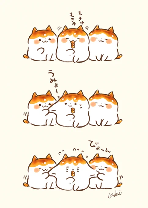 🍡🤔
#みたらしにゃんこ 