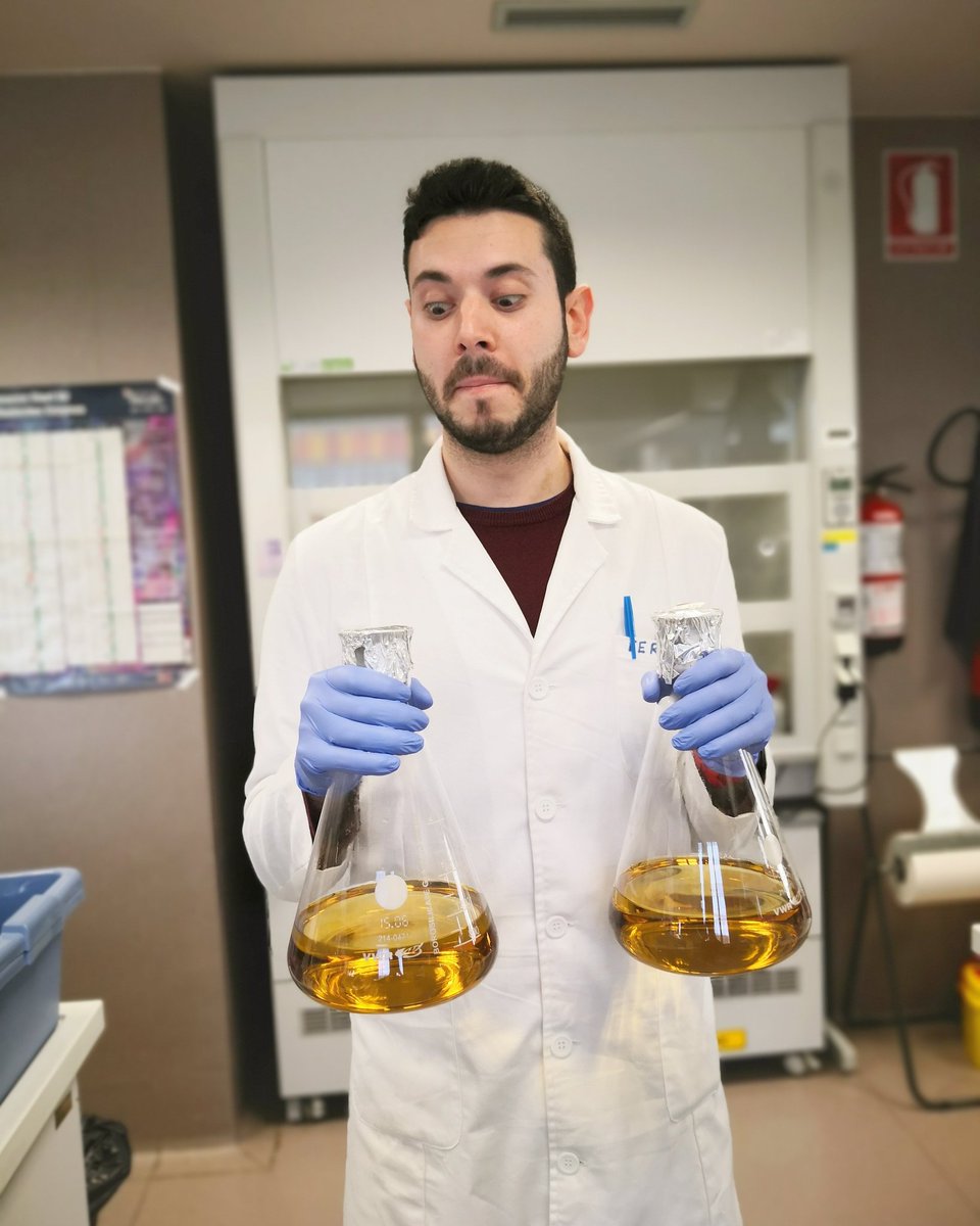 Feer94vg's tweet photo. Solo los aburridos se aburren ๐งซ
#InstaGuy #Researcher #LabBoy #Biologist #PhD https://t.co/QKOPERp8LB