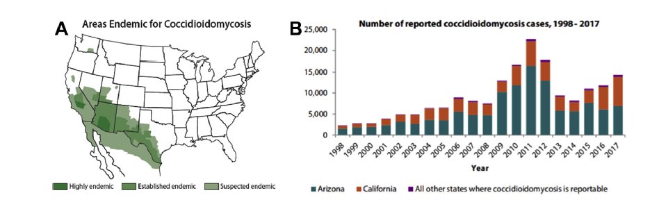 6/The genus consists of 2 species: immitis and posadasiiNatural reservoir of  #Cocci is in soil of SW US, Mexico, Central, and South AmericaIn the US, most cases are found in AZ and CAAnimal reservoir has not been identified https://www.ncbi.nlm.nih.gov/pubmed/31648806  https://www.ncbi.nlm.nih.gov/pubmed/30690599 