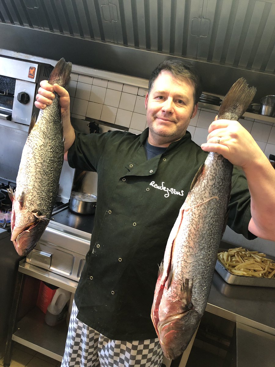 rendezvousrtw's tweet photo. Lovely #wreckfish #stonebass in this morning! #camdenroadtw #TunbridgeWells #independent #fish https://t.co/XETd8aukyp