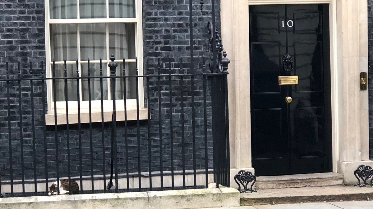 Larry the Cat sleeping outside 10 Downing Street